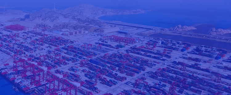 Port Cranes banner